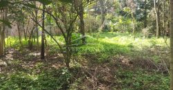 Colonia Ricardo Ballinas / 3437.29 m2 / Terreno en Venta (2410-898)