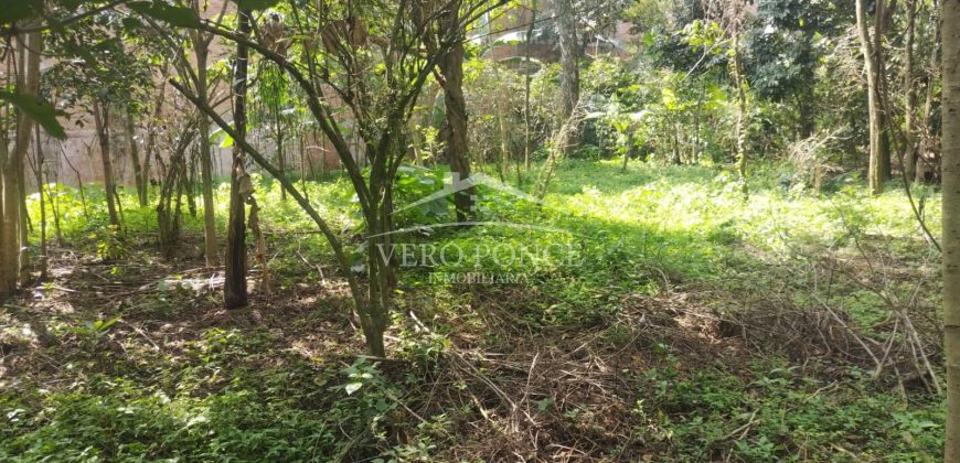 Colonia Ricardo Ballinas / 3437.29 m2 / Terreno en Venta (2410-898)