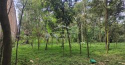 Colonia Ricardo Ballinas / 3437.29 m2 / Terreno en Venta (2410-898)