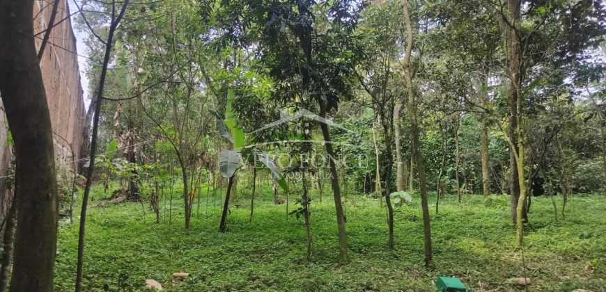 Colonia Ricardo Ballinas / 3437.29 m2 / Terreno en Venta (2410-898)