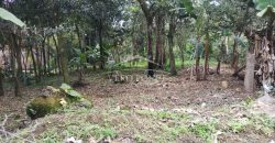 Colonia Ricardo Ballinas / 3437.29 m2 / Terreno en Venta (2410-898)