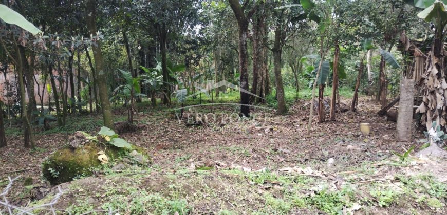 Colonia Ricardo Ballinas / 3437.29 m2 / Terreno en Venta (2410-898)