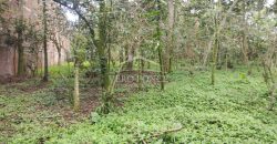 Colonia Ricardo Ballinas / 3437.29 m2 / Terreno en Venta (2410-898)