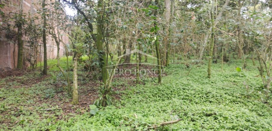 Colonia Ricardo Ballinas / 3437.29 m2 / Terreno en Venta (2410-898)