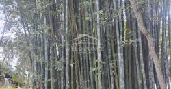 Colonia Ricardo Ballinas / 3437.29 m2 / Terreno en Venta (2410-898)