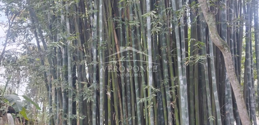 Colonia Ricardo Ballinas / 3437.29 m2 / Terreno en Venta (2410-898)