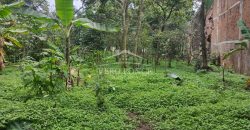 Colonia Ricardo Ballinas / 3437.29 m2 / Terreno en Venta (2410-898)