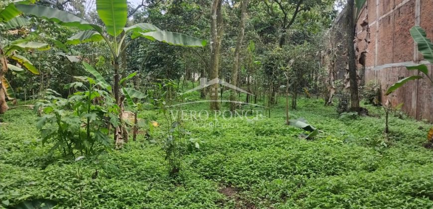 Colonia Ricardo Ballinas / 3437.29 m2 / Terreno en Venta (2410-898)