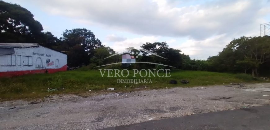 Colonia El Huerto / 5700 m / Terreno en Venta (2410-905)