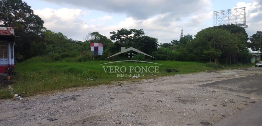 Colonia El Huerto / 5700 m / Terreno en Venta (2410-905)