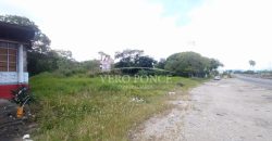 Colonia El Huerto / 5700 m / Terreno en Venta (2410-905)