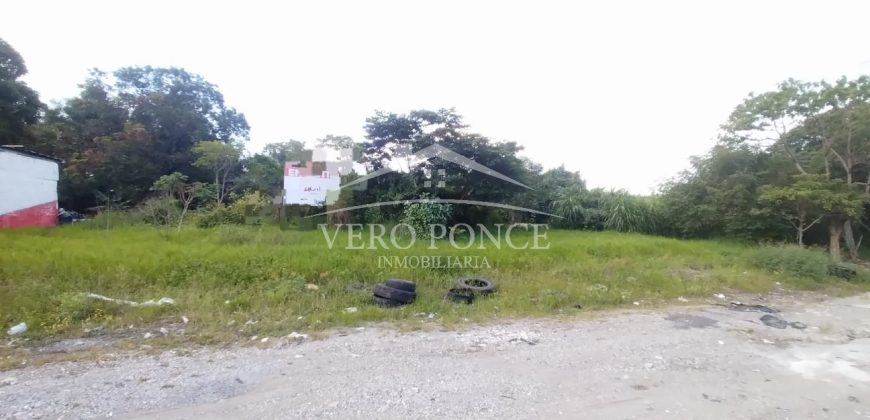 Colonia El Huerto / 5700 m / Terreno en Venta (2410-905)