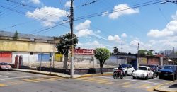 (Rentado) Calle 10 Avenida 5 / 633 m2 / Terreno en Renta (2201-506)