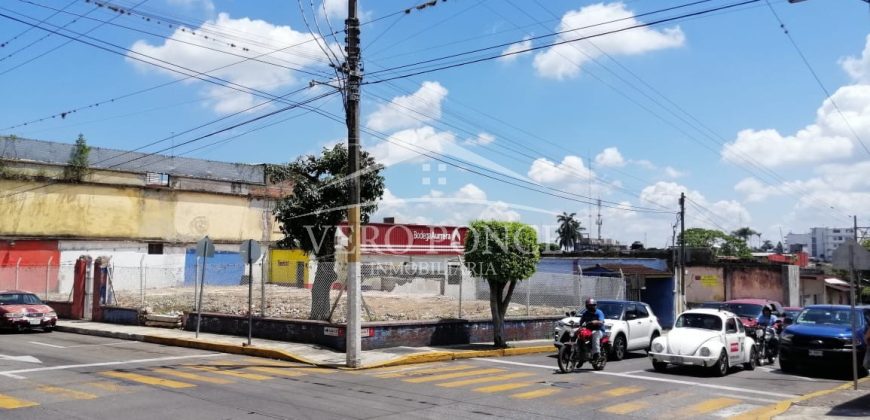 (Rentado) Calle 10 Avenida 5 / 633 m2 / Terreno en Renta (2201-506)