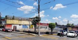 (Rentado) Calle 10 Avenida 5 / 633 m2 / Terreno en Renta (2201-506)