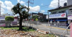 (Rentado) Calle 10 Avenida 5 / 633 m2 / Terreno en Renta (2201-506)