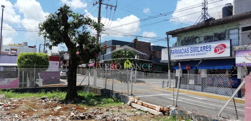 (Rentado) Calle 10 Avenida 5 / 633 m2 / Terreno en Renta (2201-506)