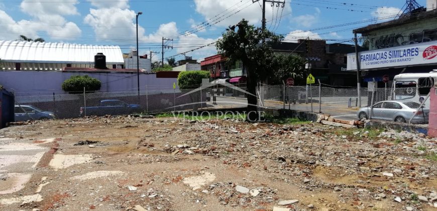 (Rentado) Calle 10 Avenida 5 / 633 m2 / Terreno en Renta (2201-506)