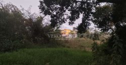 Zona Industrial / 2100 m2 / Terreno en Venta (2410-916)