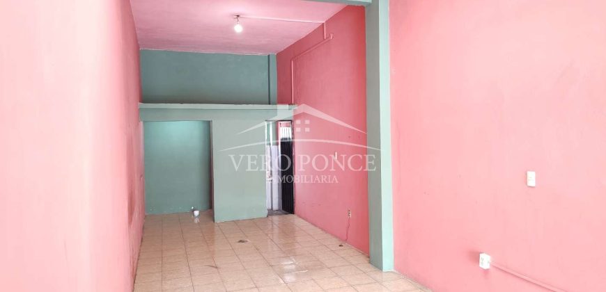 (Rentado) Colonia Centro / Local en Renta (2410-924)