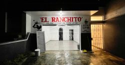 (Rentado) Avenida 31 / Local en Renta (2401-948)