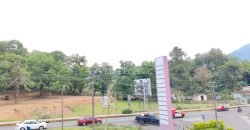 Coscomatepec / 8,500 m2 / Terreno en Renta (2410-976)