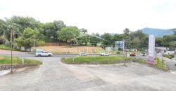 Coscomatepec / 8,500 m2 / Terreno en Renta (2410-976)