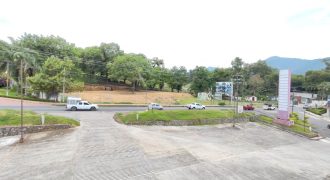 Coscomatepec / 8,500 m2 / Terreno en Renta (2410-976)