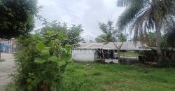 (Rentado) Colonia Bugambilias / 600 m2 / Terreno en Renta (2401-973)