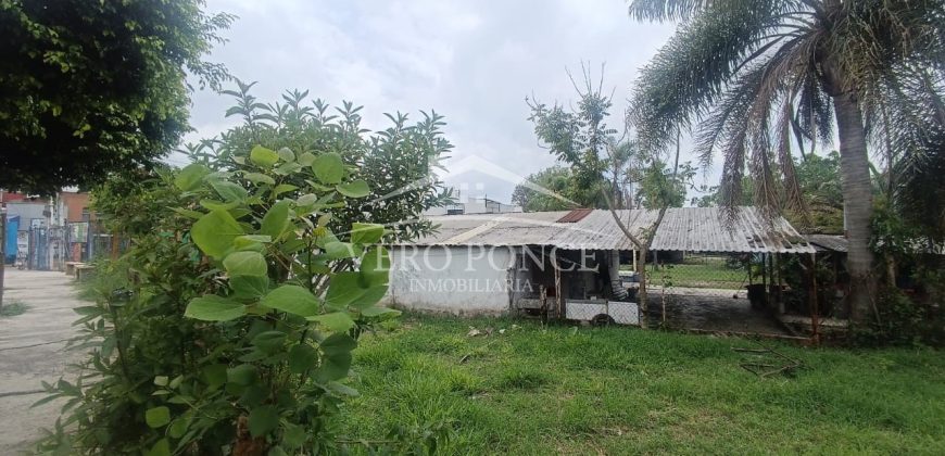 (Rentado) Colonia Bugambilias / 600 m2 / Terreno en Renta (2401-973)