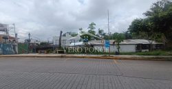 (Rentado) Colonia Bugambilias / 600 m2 / Terreno en Renta (2401-973)