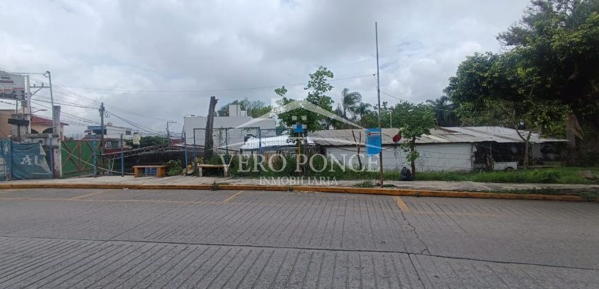 (Rentado) Colonia Bugambilias / 600 m2 / Terreno en Renta (2401-973)