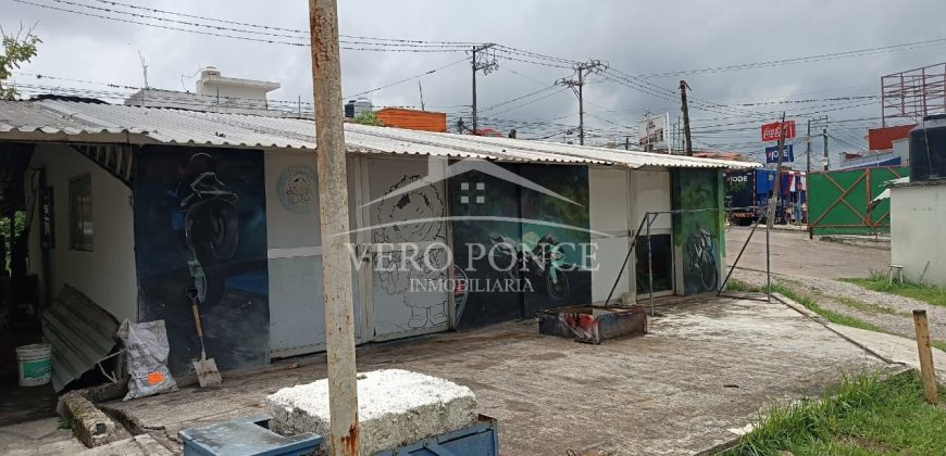 (Rentado) Colonia Bugambilias / 600 m2 / Terreno en Renta (2401-973)