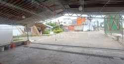 (Rentado) Colonia Bugambilias / 600 m2 / Terreno en Renta (2401-973)