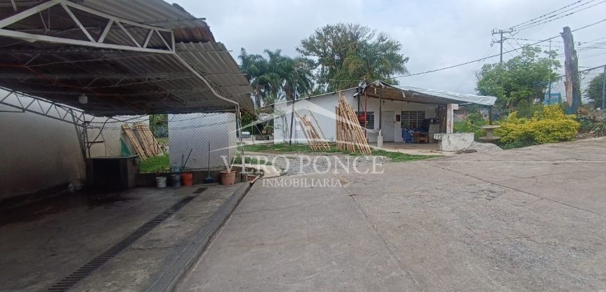 (Rentado) Colonia Bugambilias / 600 m2 / Terreno en Renta (2401-973)