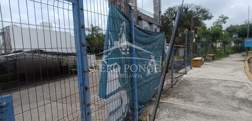 (Rentado) Colonia Bugambilias / 600 m2 / Terreno en Renta (2401-973)