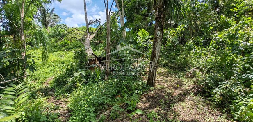 Calle 22 / 1600 m2 / Terreno en Venta (2401-983)