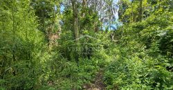 Calle 22 / 1600 m2 / Terreno en Venta (2401-983)