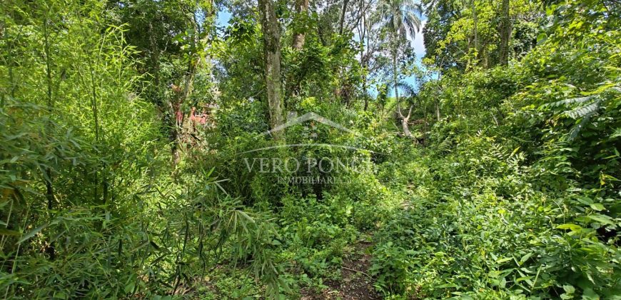 Calle 22 / 1600 m2 / Terreno en Venta (2401-983)