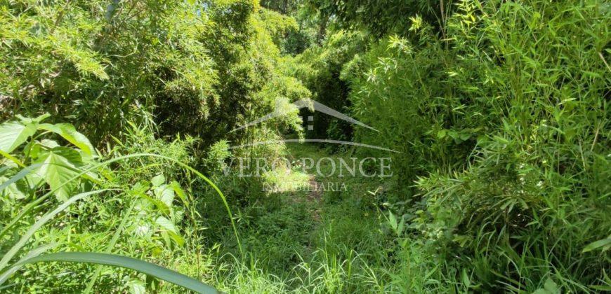 Calle 22 / 1600 m2 / Terreno en Venta (2401-983)