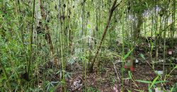 Calle 22 / 1600 m2 / Terreno en Venta (2401-983)