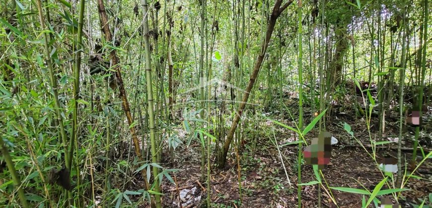 Calle 22 / 1600 m2 / Terreno en Venta (2401-983)