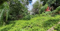 Calle 22 / 1600 m2 / Terreno en Venta (2401-983)