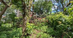 Calle 22 / 1600 m2 / Terreno en Venta (2401-983)