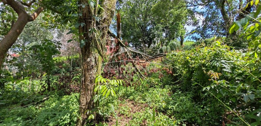 Calle 22 / 1600 m2 / Terreno en Venta (2401-983)