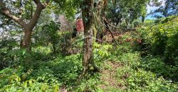 Calle 22 / 1600 m2 / Terreno en Venta (2401-983)