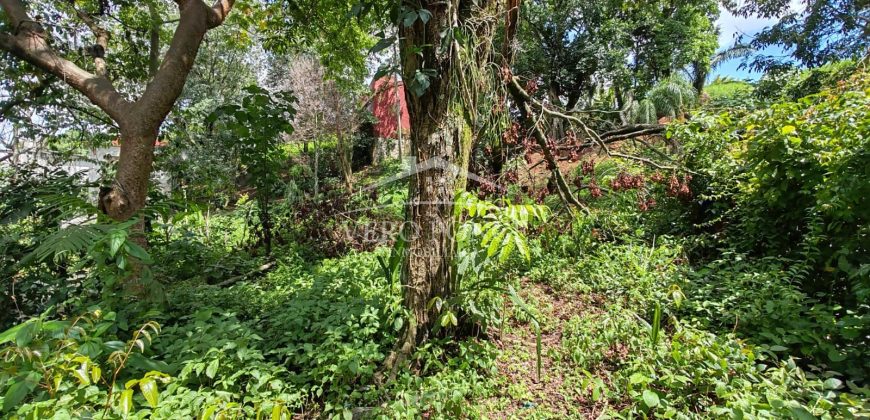 Calle 22 / 1600 m2 / Terreno en Venta (2401-983)