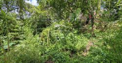 Calle 22 / 1600 m2 / Terreno en Venta (2401-983)