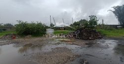 Autopista Amatlán Córdoba / 4000 m2 / Terreno en Renta (2419-989)