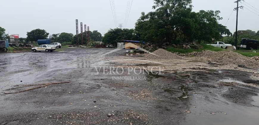 Autopista Amatlán Córdoba / 4000 m2 / Terreno en Renta (2419-989)